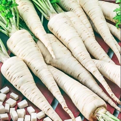 Петрушка коренева Врожайна -Most often bought