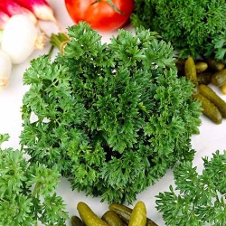 Петрушка кучерява Парамоунт -My Garden