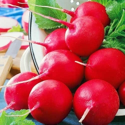 Редис Дуро зображення 6