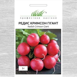 Редис Кримсон Гігант -Most often bought