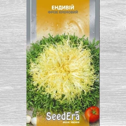 Салат Ендівій кремовий -My Garden