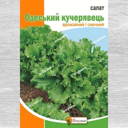 Салат Одеський кучерявець -My Garden