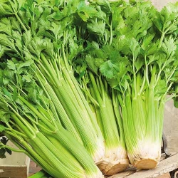 Селера черешкова Паскаль -Most often bought