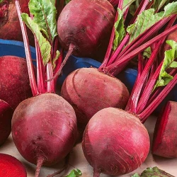 Буряк столовий Делiкатесний 
