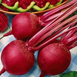 Буряк столовий Бікорес -My Garden