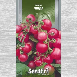 Томат Балконний Лінда -My Garden