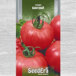 Томат Банзай Seedera зображення 7