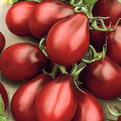 Томат Груша чорна -My Garden