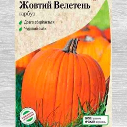 Гарбуз Жовтий велетень Садиба центр зображення 8