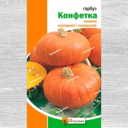 Гарбуз Конфетка -My Garden