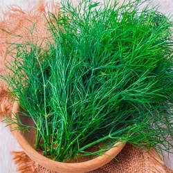 Кріп Кущовий -My Garden