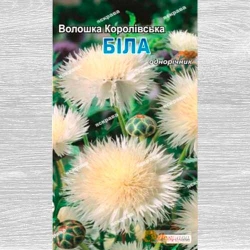 Волошка Королівська біла Яскрава зображення 10