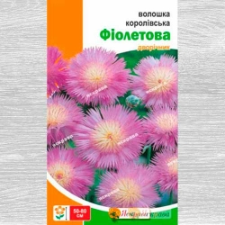 Волошка Королівська фіолетова -My Garden