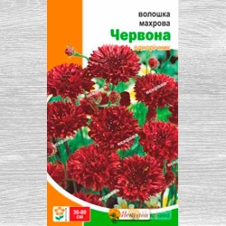 Волошка махрова червона Яскрава зображення 17