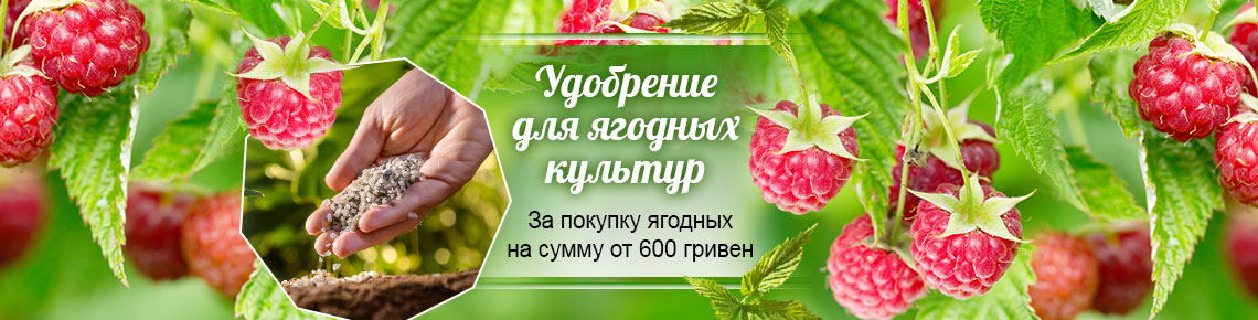Удобрение для ягодных культур