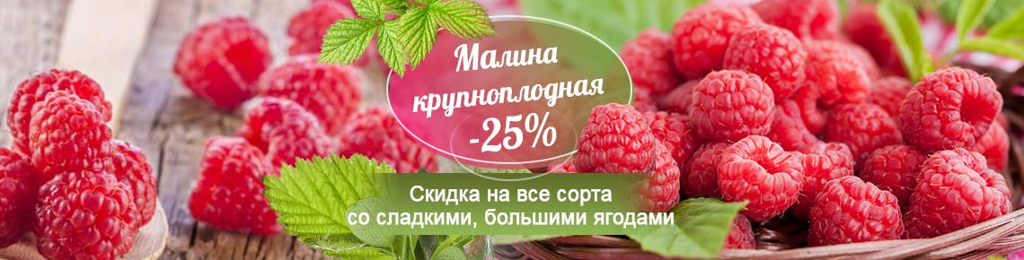 Крупноплодная малина