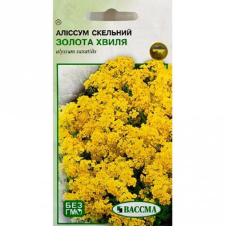 Алиссум Золотая волна Seedera рисунок 2