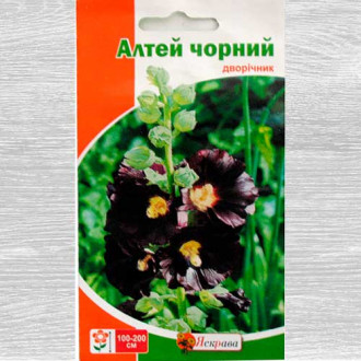 Алтея чорна зображення 2