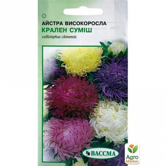 Айстра Крален, суміш забарвлень Seedera зображення 2