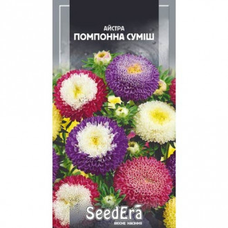 Айстра Помпонна, суміш забарвлень Seedera зображення 7