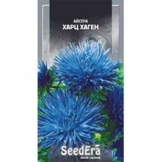 Астра Харц Хаген Seedera рисунок 2
