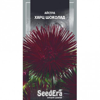 Астра Харц Шоколад Seedera рисунок 7