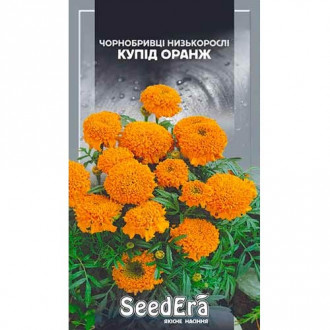 Чорнобривці Лимонний принц Seedera зображення 3