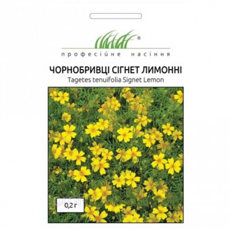 Бархтацы Сигнет лимонные Профессиональные семена рисунок 1