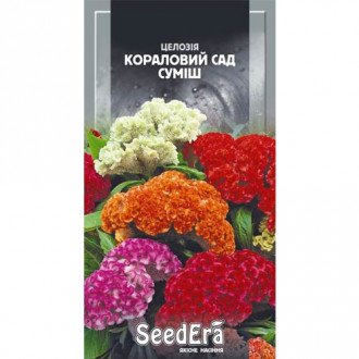 Целозія гребінчаста Кораловий сад, суміш забарвлень Seedera зображення 18