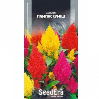 Целозія периста Пампас, суміш забарвлень Seedera зображення 9