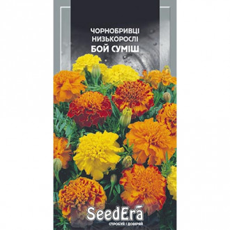 Чорнобривці Бой, суміш забарвлень Seedera зображення 16