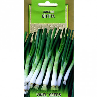 Цибуля Ентіта Vinel seeds зображення 1