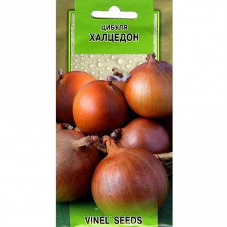 Лук репчатый Халцедон Vinel seeds рисунок 6