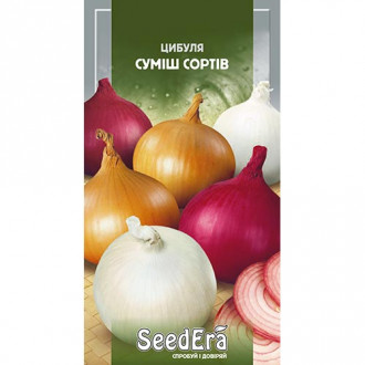 Лук репчатый, смесь сортов Seedera рисунок 10