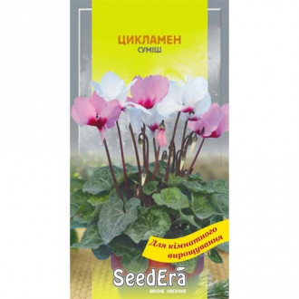 Цикламен Персидський, суміш забарвлень Seedera зображення 18