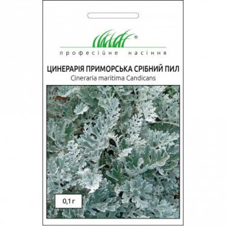 Цинерария Серебрянная пыль Профессиональные семена рисунок 2