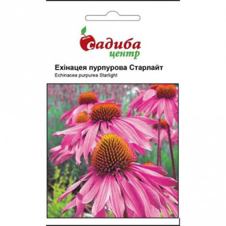 Ехінацея пурпурова Старлайт Садиба центр зображення 3