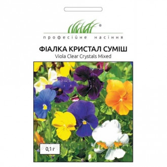 Фіалка Кристал, суміш забарвлень Професійне насіння зображення 10