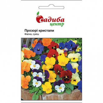 Фіалка Прозорі кристали, суміш забарвлень Садиба центр зображення 7