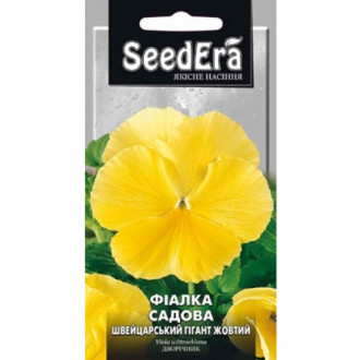 Фіалка Швейцарський гігант жовтий Seedera зображення 11