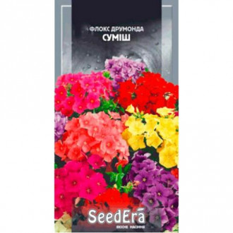 Флокс Друммонда, суміш забарвлень Seedera зображення 15