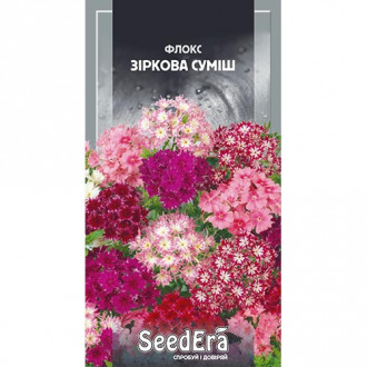 Флокс Зірковий, суміш забарвлень Seedera зображення 10