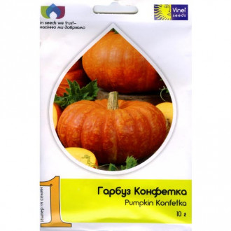 Гарбуз Конфетка Vinel seeds зображення 17