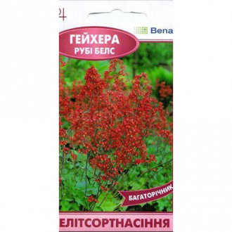 Гейхера Руби Беллз Элитсорт рисунок 1
