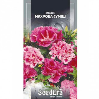 Годеція махрова, суміш забарвлень Seedera зображення 1