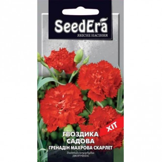 Гвоздика махрова Гренадін Скарлет Seedera зображення 2