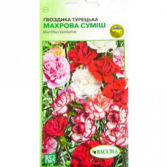 Гвоздика махрова Турецька, суміш забарвлень Seedera зображення 14