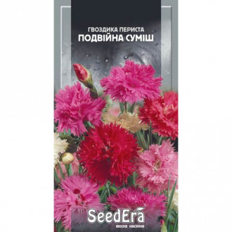 Гвоздика трав'янка Червона Seedera зображення 17