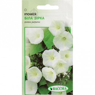 Іпомея Біла Зірка Seedera зображення 5