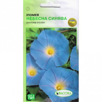 Іпомея Небесна синява Seedera зображення 3